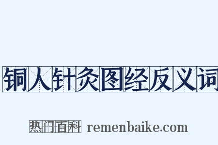 铜人针灸图经反义词是什么意思的图片
